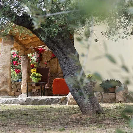 15 Min Da Olbia Green Country Porto San Paolo (Sardinia)
